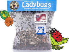 Natures Good Guys 1500 Live Ladybugs – Good Bugs- Ladybugs – Guaranteed Live Del